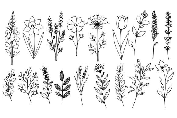 Download Set of Herbs and Wild Flowers Vector Art - Set Collection