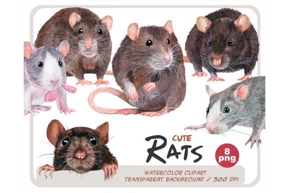 Download Watercolor Realistic Rats Clipart Set - Set Collection