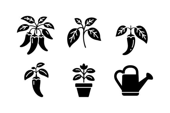 Download Chili Plant Growing Icon Set EPS - Set Collection